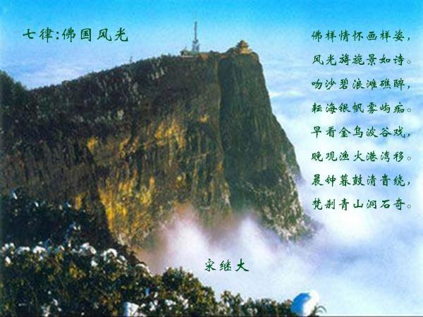 hahabetcom官网星辰大海